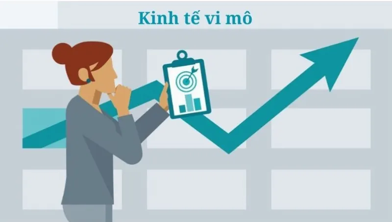 Hình ảnh so sánh quy mô nghiên cứu của kinh tế vi mô và kinh tế vĩ mô với ví dụ minh họa